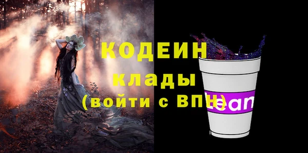 индика Медногорск