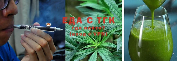 индика Медногорск