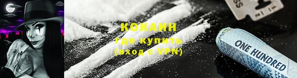 индика Медногорск