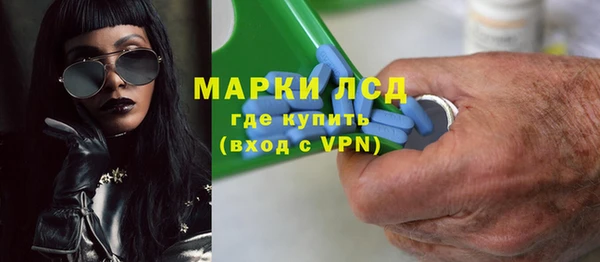 индика Медногорск