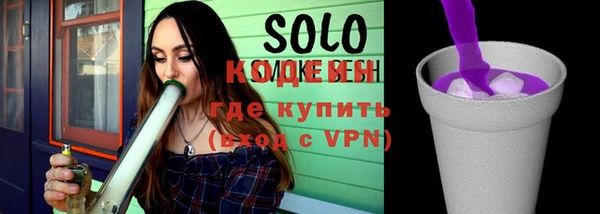 индика Медногорск