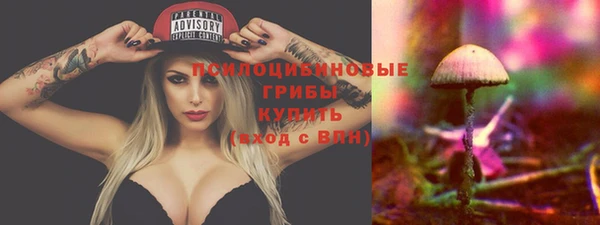 spice Медвежьегорск