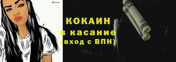 индика Медногорск
