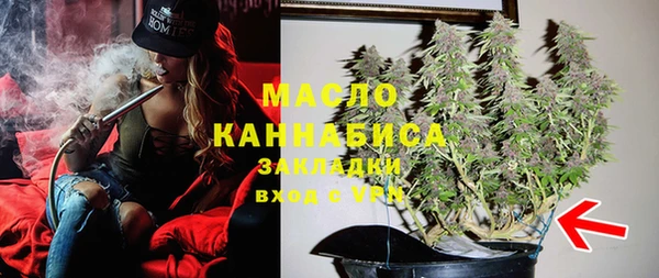 индика Медногорск