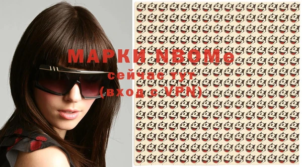 индика Медногорск