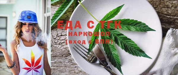индика Медногорск