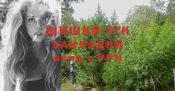 индика Медногорск
