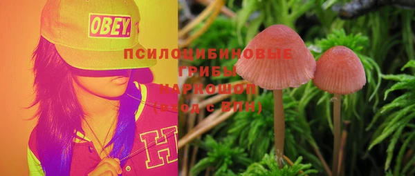 индика Медногорск